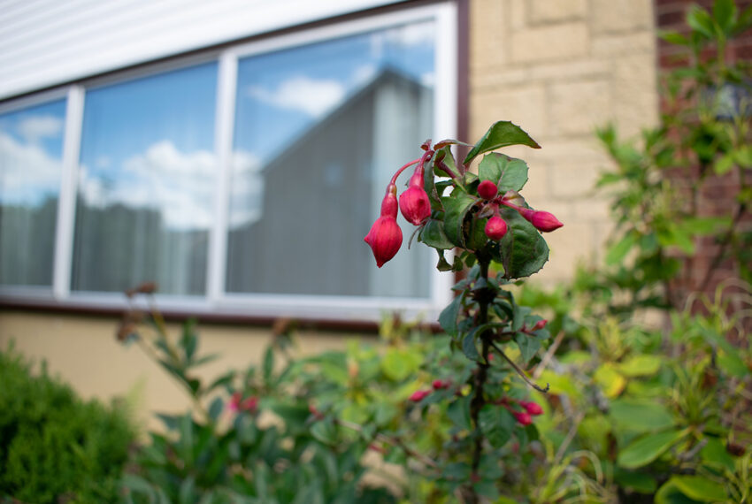 Front garden